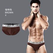 Comfort Men's Triangle Inner Morder Pants Cotton Pants Silver Side Triangle Sports underwear Wholesale