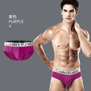 Comfort Men's Triangle Inner Morder Pants Cotton Pants Silver Side Triangle Sports underwear Wholesale