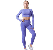 Women Vital Seamless Yoga Set Gym Clothing Fitness Leggings+Cropped